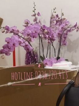 Bán máy tính tiền giá rẻ tại Kiên Giang cho shop hoa