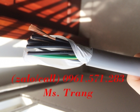 Cáp điều khiển 20x0.75 có màn chắn chống nhiễu hiệu Altek Kabel