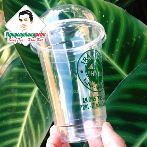 In Ấn Và Cung Cấp Ly Nhựa Trà Sữa, Cà Phê Tại Pleiku - Gia Lai