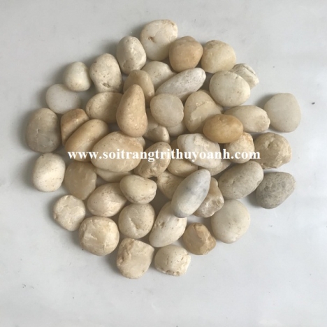 Thuỳ Oanh đơn vị phân phối sỏi trang trí trên toàn quốc