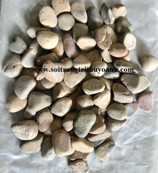 Thuỳ Oanh đơn vị phân phối sỏi trang trí trên toàn quốc