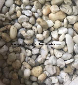 Thuỳ Oanh đơn vị phân phối sỏi trang trí trên toàn quốc
