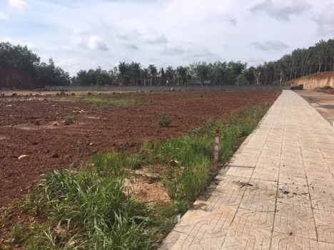 đầu tư đất nền thành phố đồng xoài giá chỉ 590 triệu/nền tại tỉnh bình phước