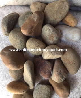 Sỏi trang trí cảnh quan sân vườn