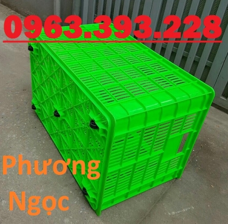Sọt nhựa rỗng 5 bánh xe, sọt nhựa đẩy hàng, sọt nhựa đựng nông sản có bánh xe
