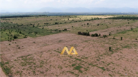 Bán 1,2ha đất vườn Nam Á Garden giá rẻ chỉ 764TR, sổ có sẵn, cách Quốc lộ 1A 2.5km