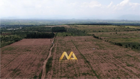 Bán 1,2ha đất vườn Nam Á Garden giá rẻ chỉ 764TR, sổ có sẵn, cách Quốc lộ 1A 2.5km
