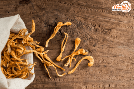 Healthy –Bán trà túi lọc Đông trùng hạ thảo quận Bình Thạnh