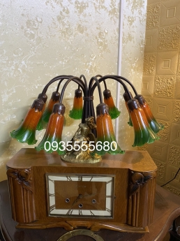 Giao lưu em Đèn hoa ly màu xanh cam lạ mắt