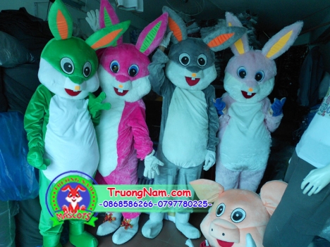 DỊCH GIẶT MASCOT TRƯỜNG NAM