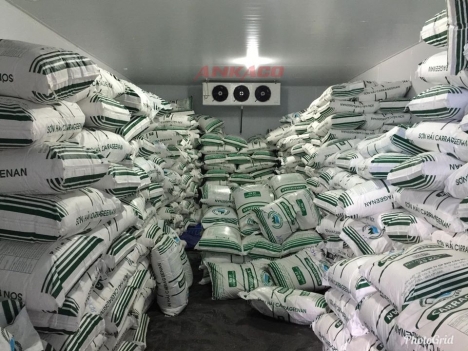 Lắp đặt kho lạnh bảo quản rau câu công ty Sơn Hải tại Phan Rang