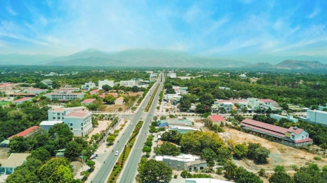 Gia đình cần bán gấp đất tại đường lớn Đinh Tiên Hoàng,Cam Lâm, Bãi Dài Cam Ranh