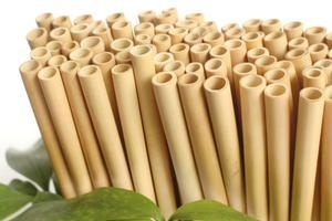 Ống hút tre, ống hút sậy, ống hút sinh học thân thiện môi trường