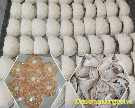 Xưởng Gia Công Yến Sào Nha Trang - Cung Cấp Sỉ Lẻ Yến Sào
