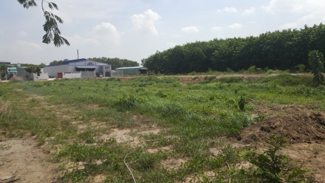 Nhà có lô đất 2000m2 ,càn bán gấp sau lưng KCN BECAMEX bán giá rẻ luôn.