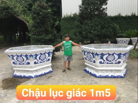Chậu hoa dán sành sứ