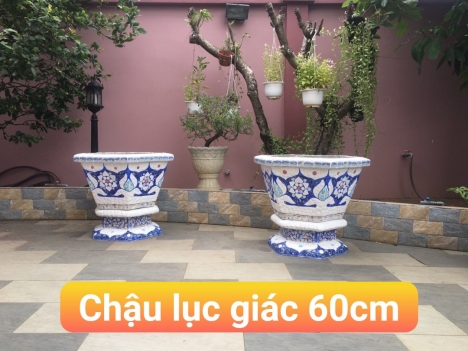 Chậu hoa dán sành sứ