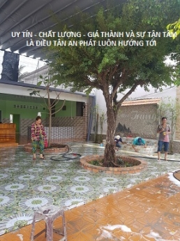 Trang cafe lắp bộ tính tiền tại Cần Thơ giá rẻ