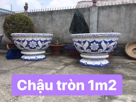 Chậu hoa dán sành sứ