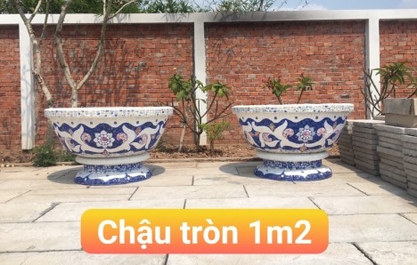 Chậu hoa dán sành sứ
