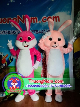 Mascot thỏ, mascot trung thu,trang phục biểu diễn