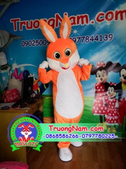 Mascot thỏ, mascot trung thu,trang phục biểu diễn
