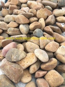 Sỏi tự nhiên trang trí