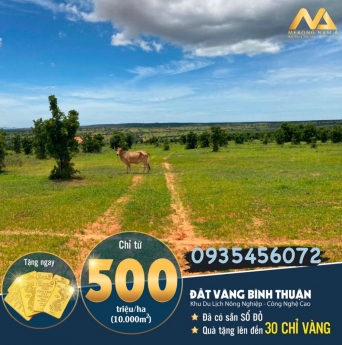 Nam Á Garden Đầu tư lợi nhuận Bắc Bình-Bình Thuận(Sổ Đỏ) giá chỉ từ 50.000vnđ/m2