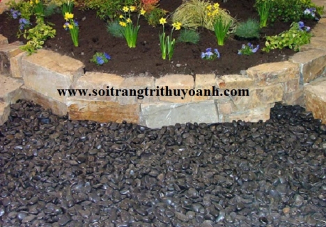 Trang trí cảnh quan sân vườn bằng sỏi đen bóng
