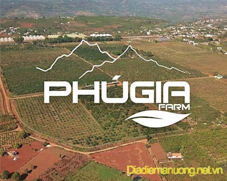 Phú Gia Farm - Trang Trại Bơ Hass Của Mỹ Tại VIệt Nam