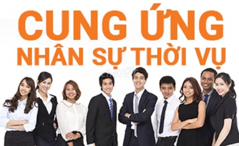 Dịch vụ tuyển dụng và cung ứng nhân lực ngành Logistics