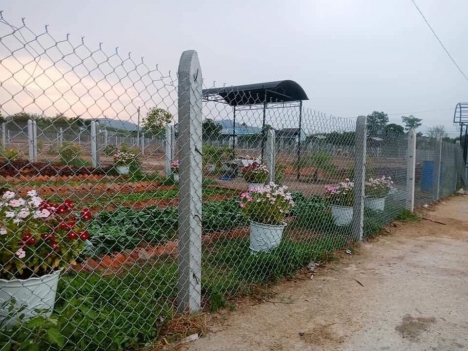 Bán gấp lô đất giá tốt suối tiên, diên khánh, mô hình nhà vườn cực đẹp giá chỉ 1,5tr/m2...!
