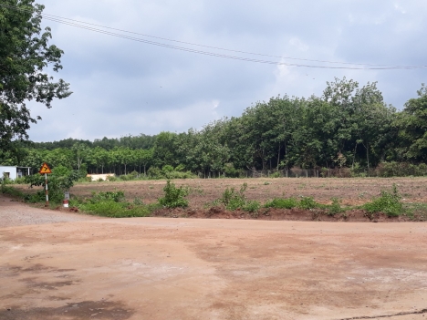 Bán gấp đất ngay chợ Trừ Văn Thố 900m2 giá rẻ,