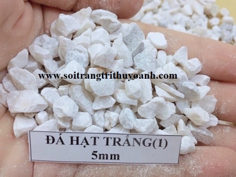 Sỏi trang trí sân vườn, sỏi trang trí tiểu cảnh