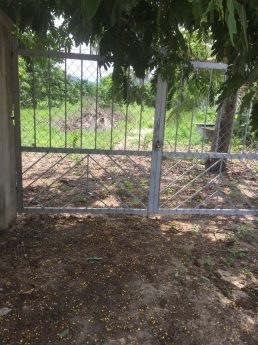 Bán gấp lô đất 4300m2 mặt tiền đường 6m, đường Tân Sinh, Cam Thành Bắc, Cam Lâm