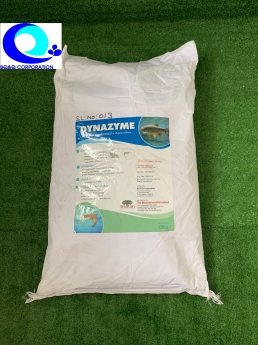 Mua bán # men đường ruột, men vi sinh đơn dòng, men tiêu hóa giá tốt