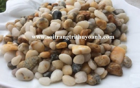 Sỏi trang trí sân vườn, cung cấp sỏi trang trí giá rẻ