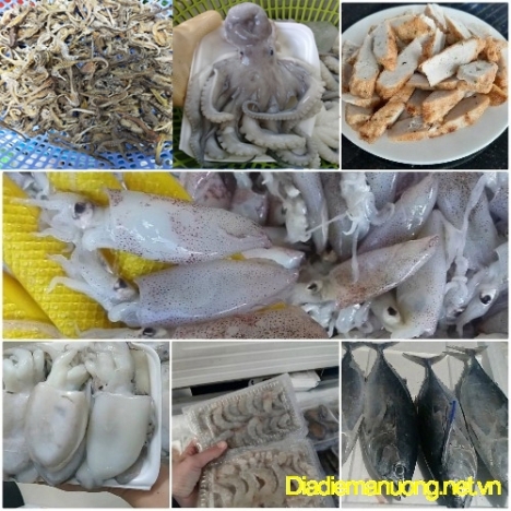 Cung Cấp Hải Sản Kiên Giang