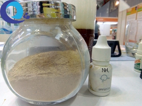 Mua bán #yucca hấp thu khí độc, #yucca tẩy kháng sinh, yucca nước, yucca bột, yucca lỏng, giá sỉ