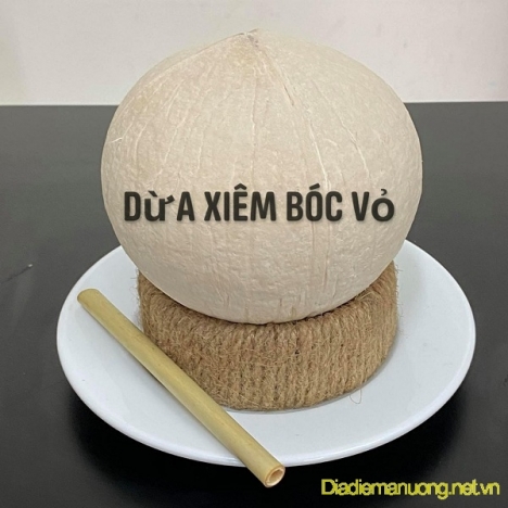 Chuyên Sỉ Và Lẻ Dừa Xiêm Trọc, Xiêm Baby