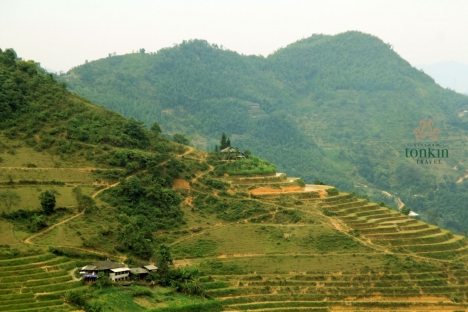 Tour Du Lịch Sông Nho Quế Cao Nguyên Đá Đồng Văn