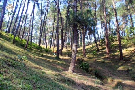 Tour Du Lịch Sông Nho Quế Cao Nguyên Đá Đồng Văn