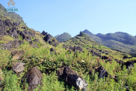 Tour Du Lịch Sông Nho Quế Cao Nguyên Đá Đồng Văn