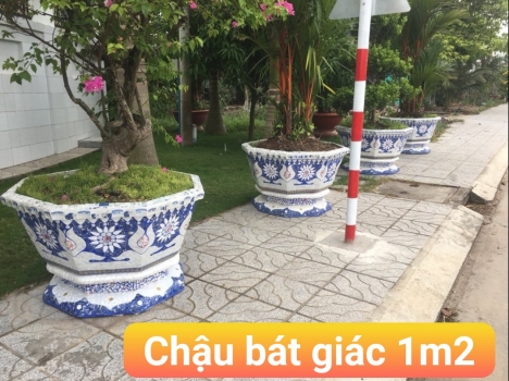 Chậu hoa - chậu trồng cây - chậu hoa công trình - chậu lam theo yêu cầu kích cỡ