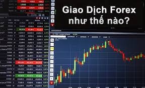 công việc vua giai trí vưa kiếm ra tiền Forex