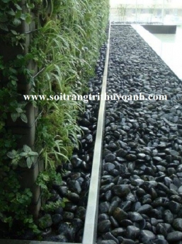 Sỏi đen bóng trang trí sân vườn tiểu cảnh tphcm