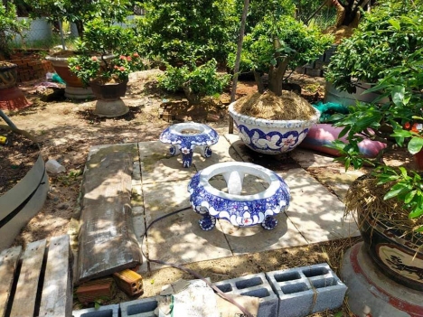 Chậu hoa chân quỳ dán sành sứ , chậu hoa cao cấp, chậu hoa đẹp