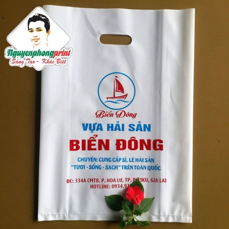 In Bao Bì Gia Lai