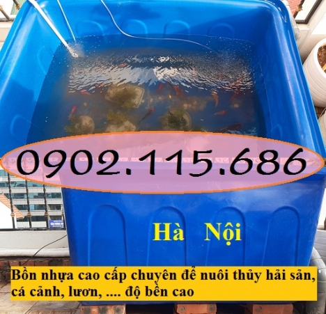 Bồn nhựa nuôi thủy sản, bồn nhựa nuôi cá cảnh, bồn nhựa nuôi lươn, bồn nhựa chữ nhật, bồn nhựa nuôi