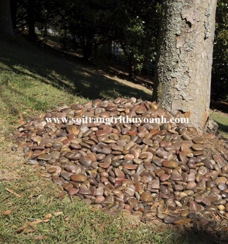 Sỏi đỏ bóng trang trí, sỏi bóng, sỏi sân vườn tiểu cảnh